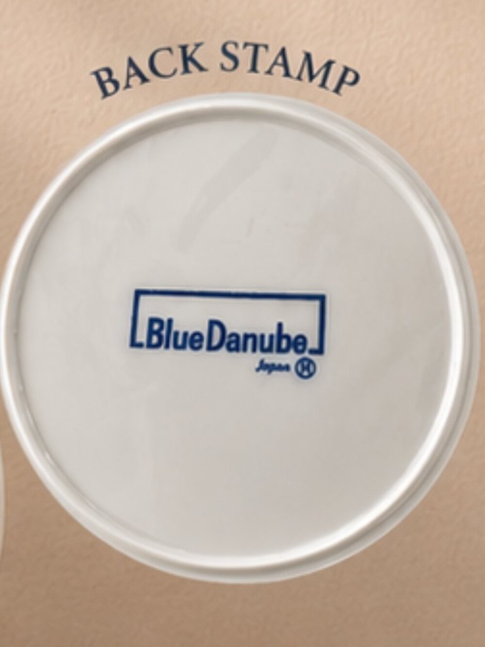 Blue Danube 12 inch platter - Picture 2 of 2